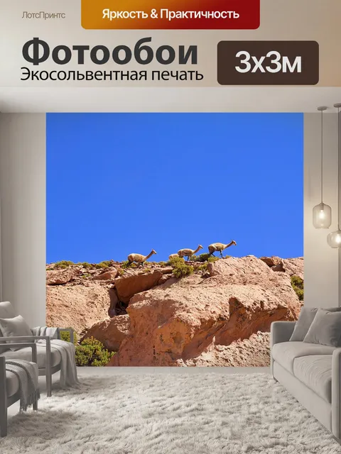 Фотообои Чили