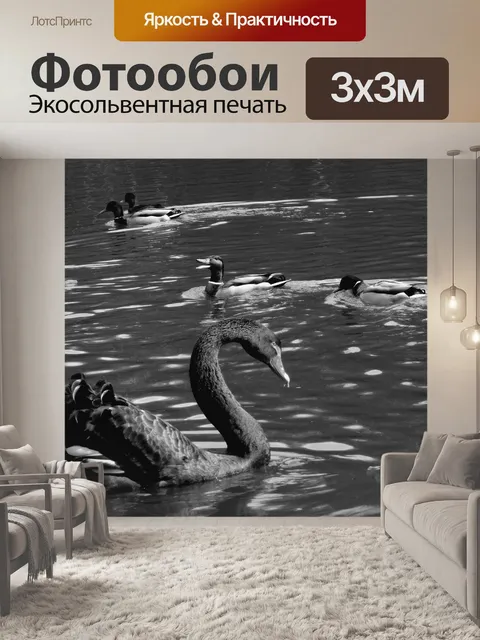 Фотообои Лебедь