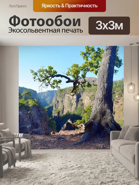 Фотообои Деревья и лес 21