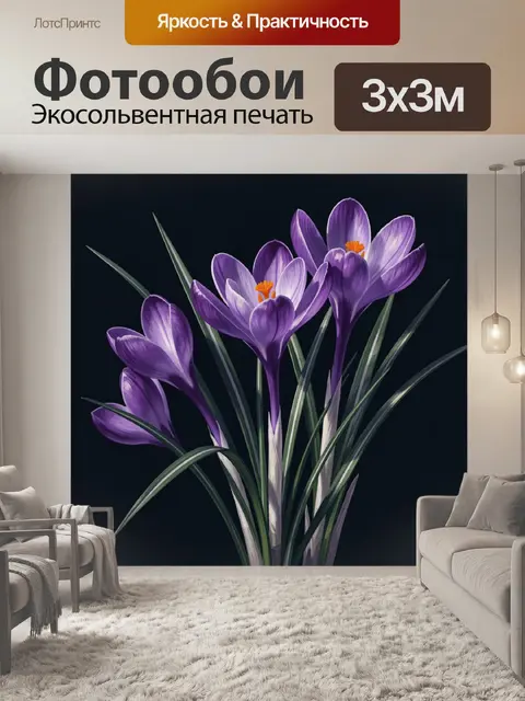 300 × 300 см · Экосольвентная печать