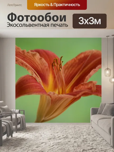 Фотообои Лили