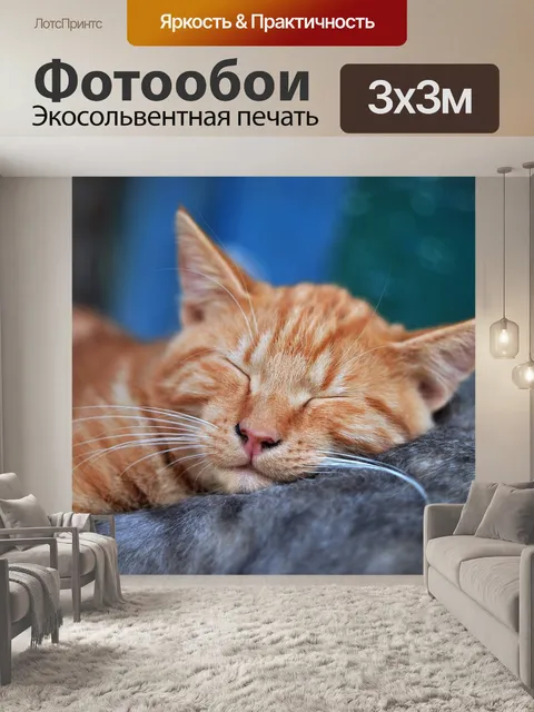 Фотообои Спокойствие