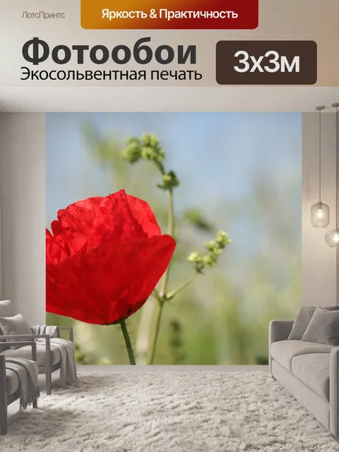 Фотообои Цветок