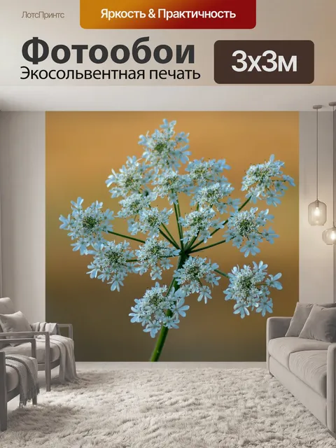 Фотообои Цветок