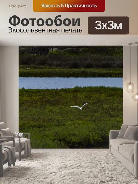 Фотообои Большая белая белая цапля