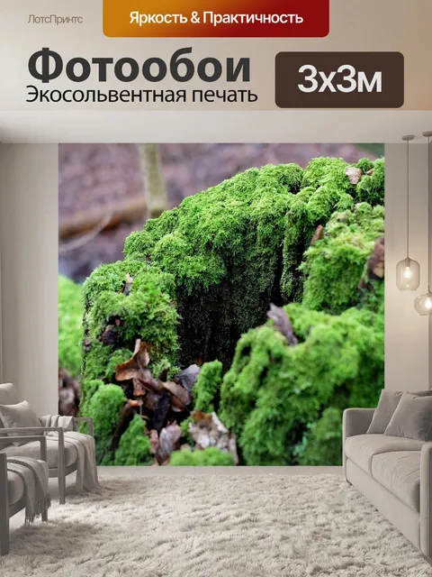 Фотообои Пень