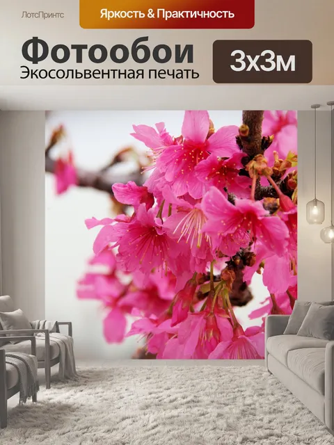 Фотообои Розовое дерево Иуды крупным планом