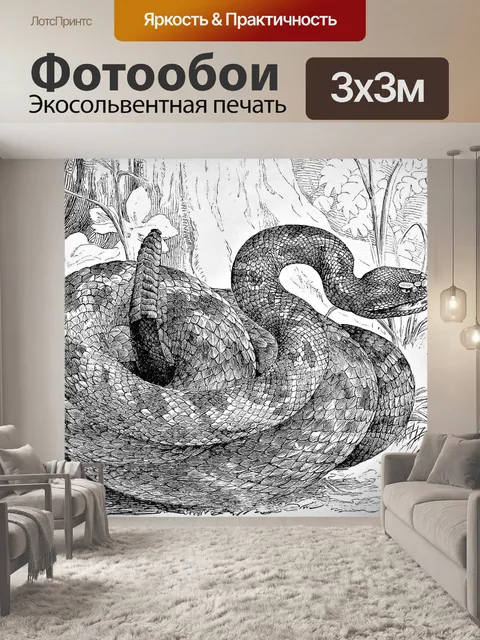 Фотообои Обыкновенная гремучая змея