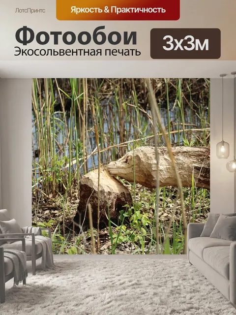 Фотообои Дерево