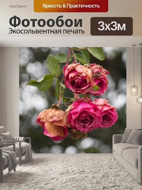 Фотообои Розовая любовь