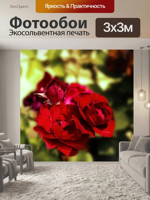 Фотообои Розы