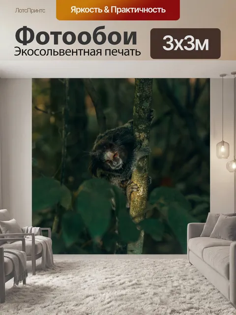 Фотообои Обезьяна