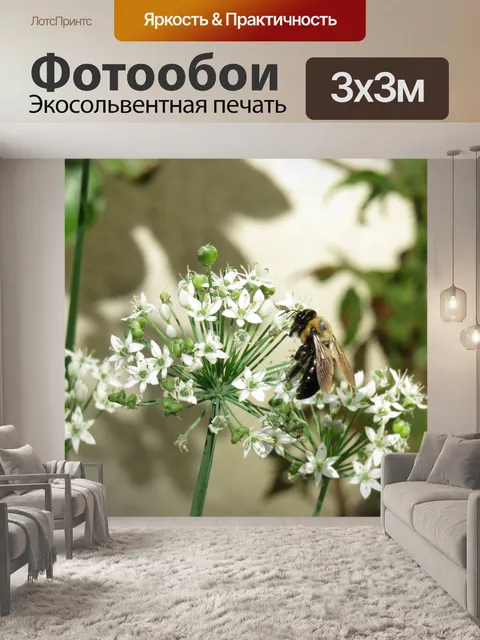 Фотообои Белые цветки