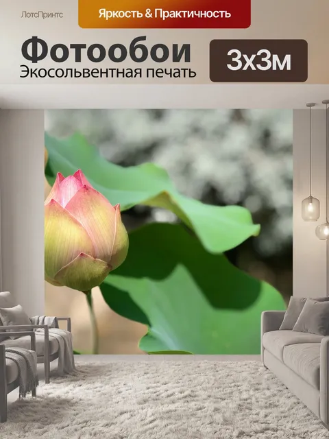 Фотообои Розовый лотос