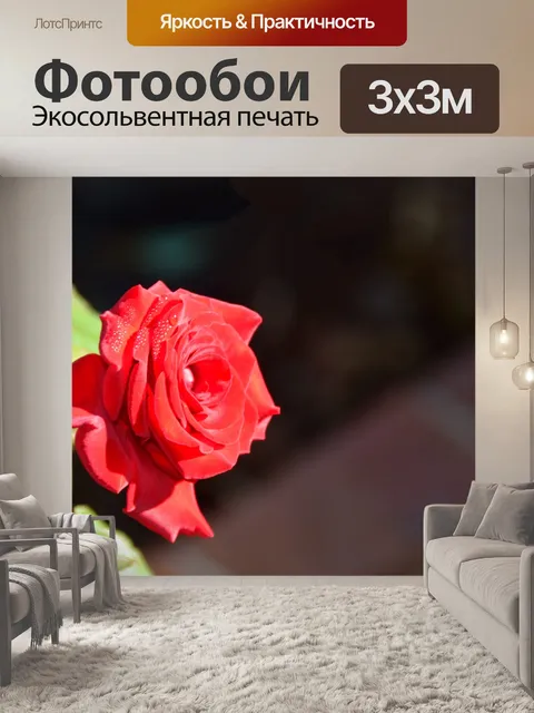 Фотообои Яркий цветной Rose