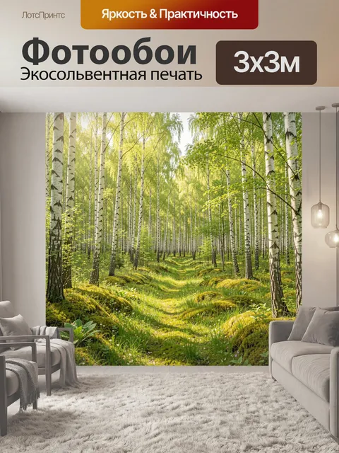 Фотообои Березовый лес с мшистой тропой