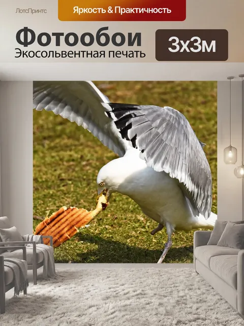 Фотообои Чайка