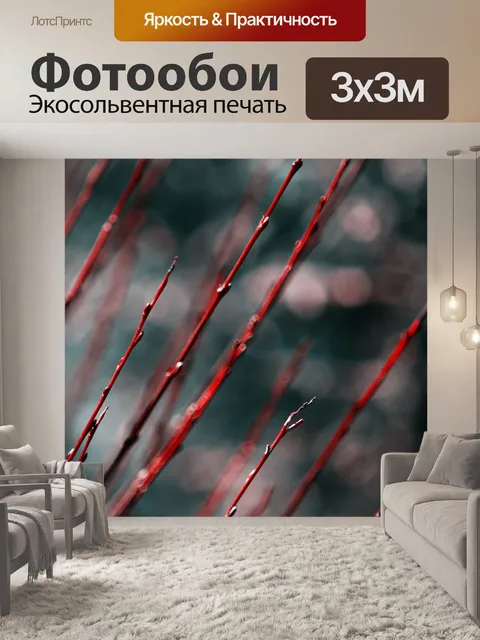 Фотообои Красный