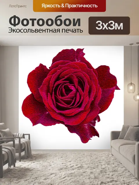 Фотообои Красная роза