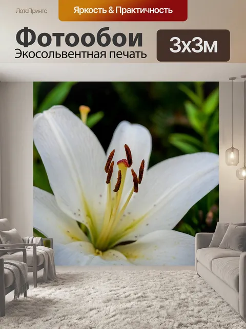 Фотообои Цветок
