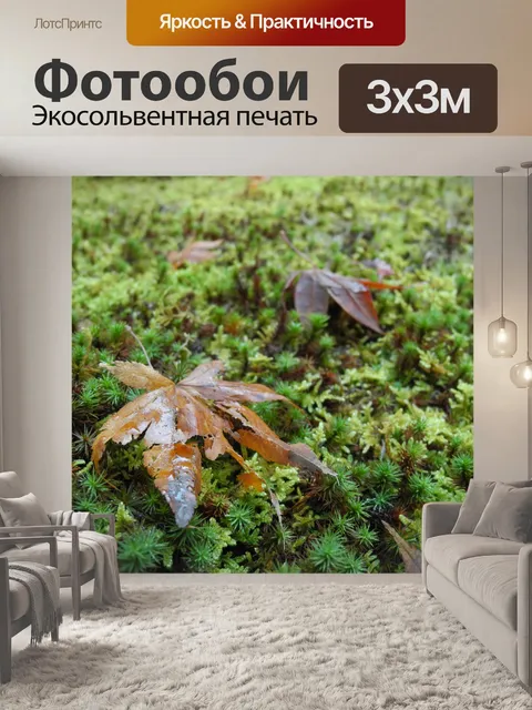 Фотообои опавшие листья