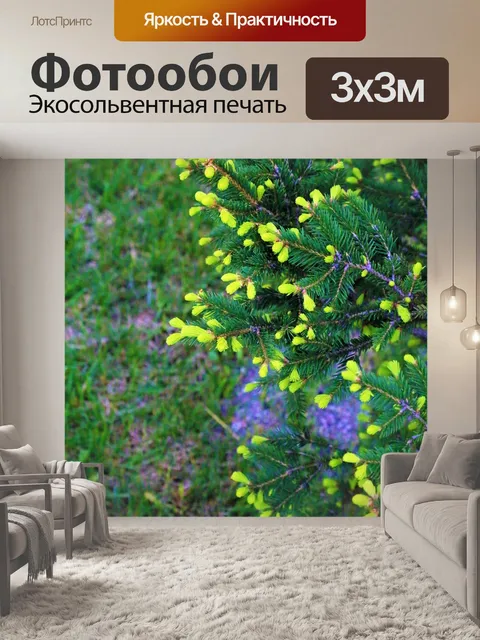 Фотообои Дерево
