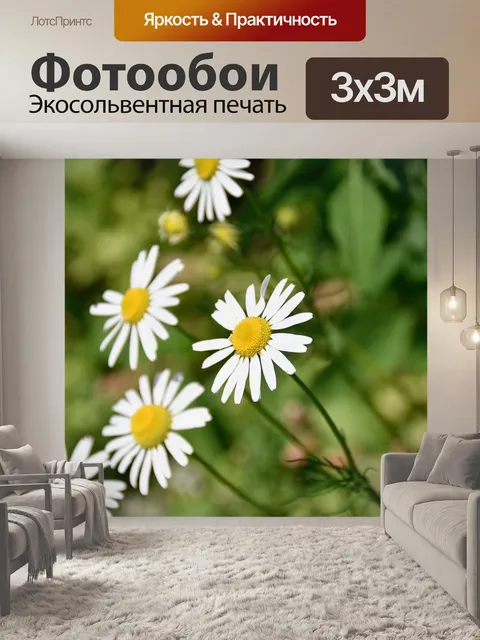 Фотообои Цветы