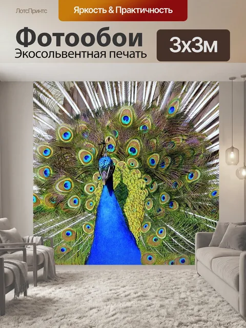 Фотообои Павлин
