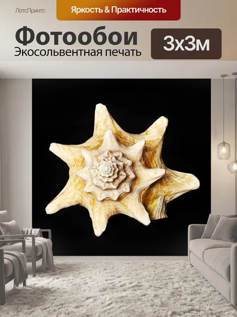 Фотообои Устрицы