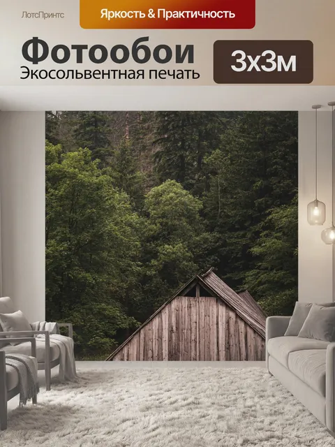 Фотообои Коттедж