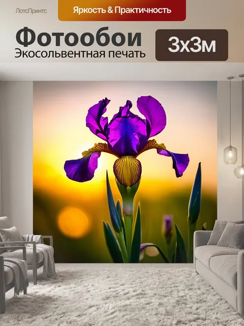 Фотообои ирис на фоне заката, яркие фиолетовые и желтые лепестки, мягкое освещение, теплые тона