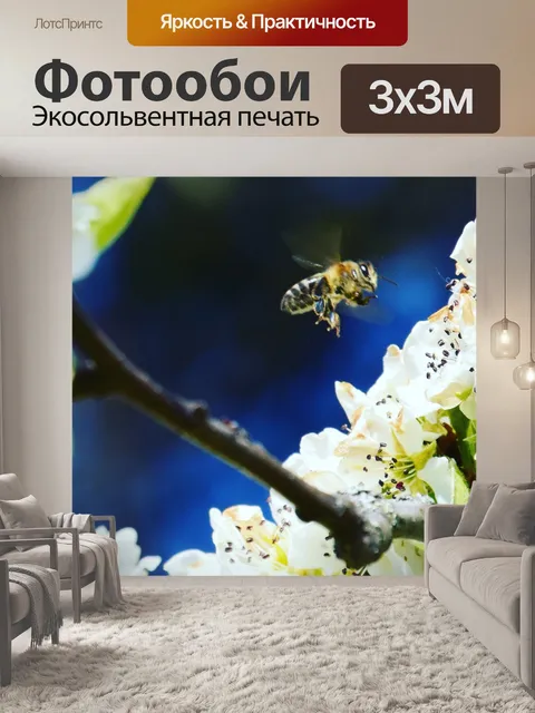 Фотообои Штутгарт