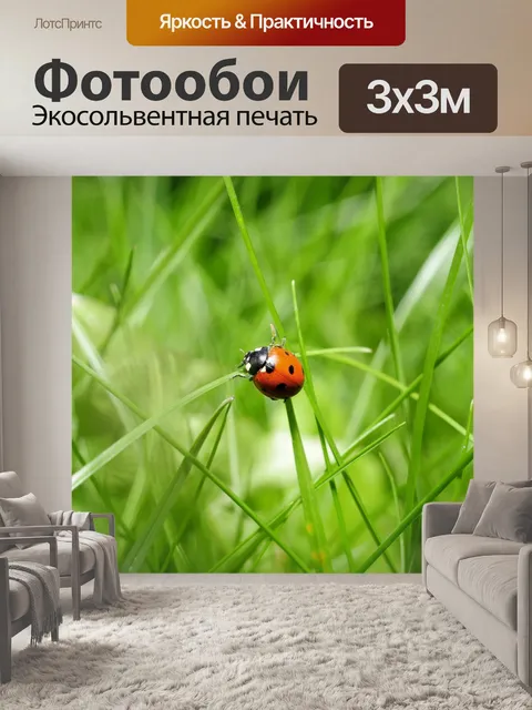 Фотообои Божья коровка в траве