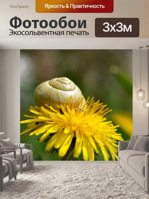Фотообои Улитка