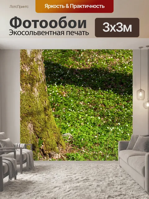 Фотообои Белые анемоны