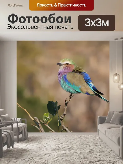 Фотообои Вилка колодка