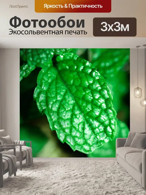 Фотообои Свежие листья мяты
