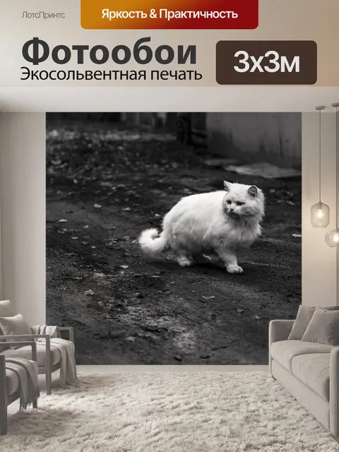 Фотообои Кошка