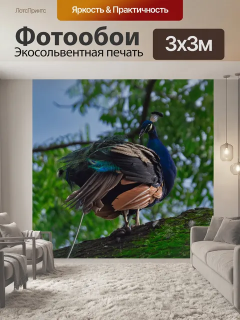 Фотообои Коста-рика
