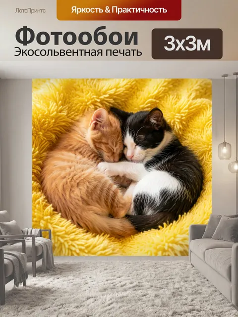 Фотообои Спящие котята в объятиях