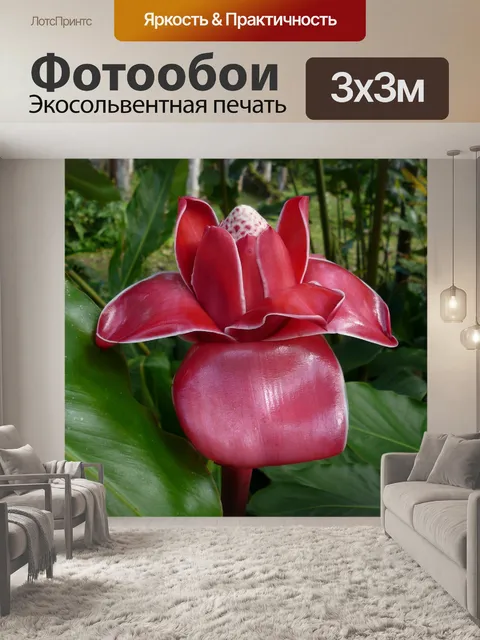 Фотообои Мартиника