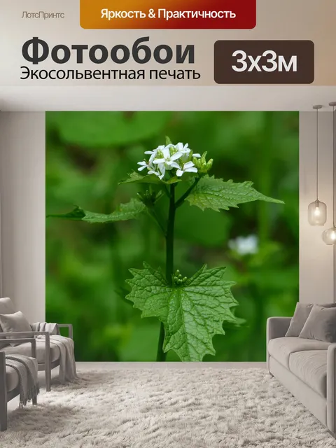 Фотообои Чесночная горчица