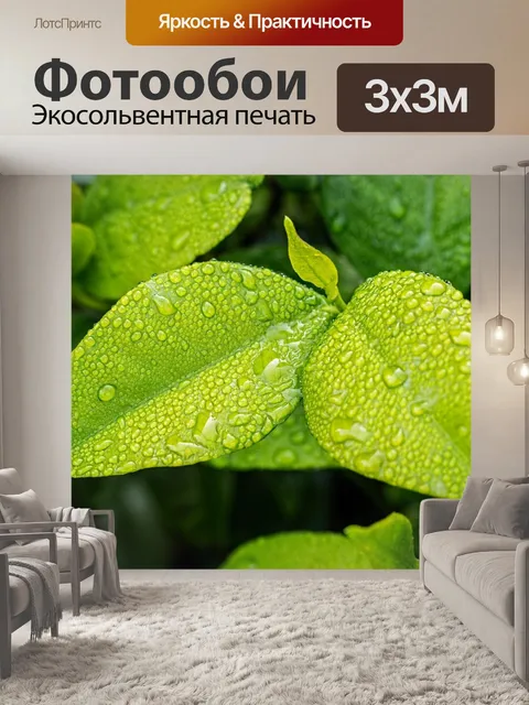 Фотообои Лист