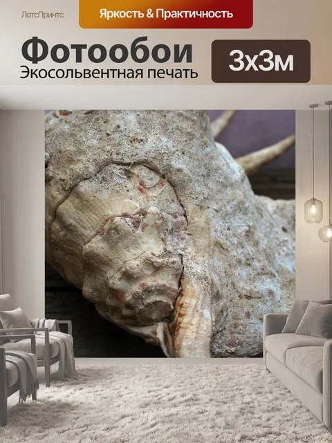 Фотообои Большая морская ракушка с шипами