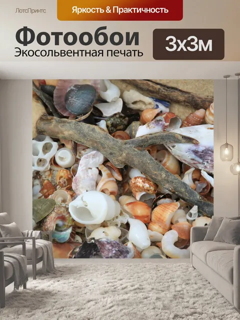 Фотообои Моллюски