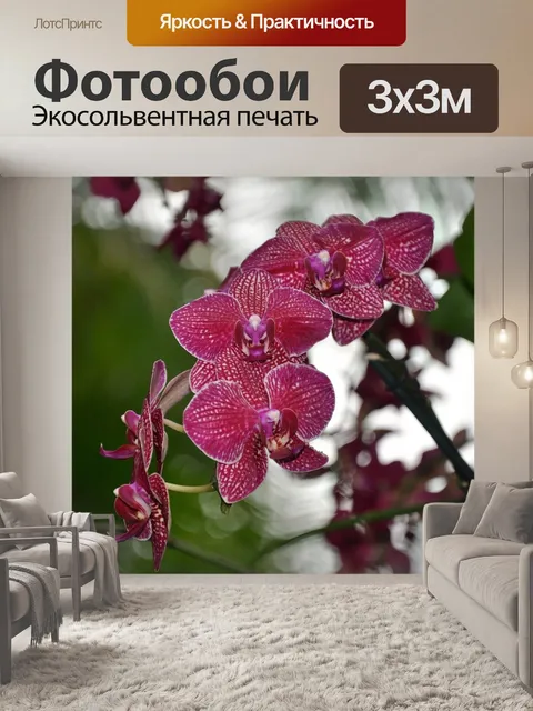 Фотообои Орхидеи