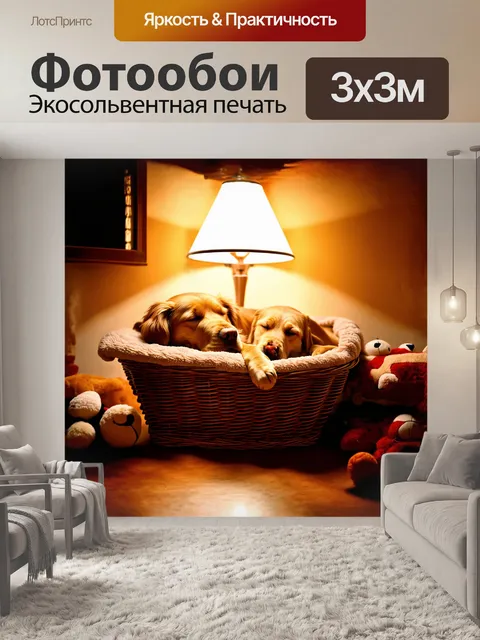 Фотообои золотистый ретривер, мирно спящий в уютной корзине, укрытой мягким пледом