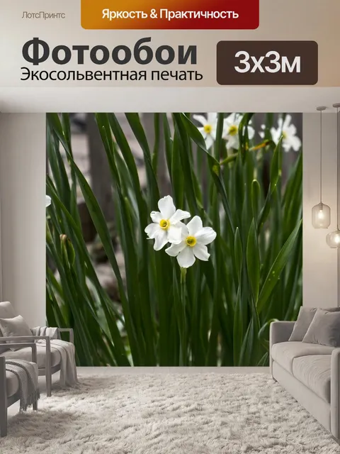 Фотообои Арканзас paperwhite для нарциссов