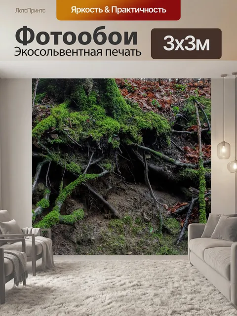 Фотообои Бук