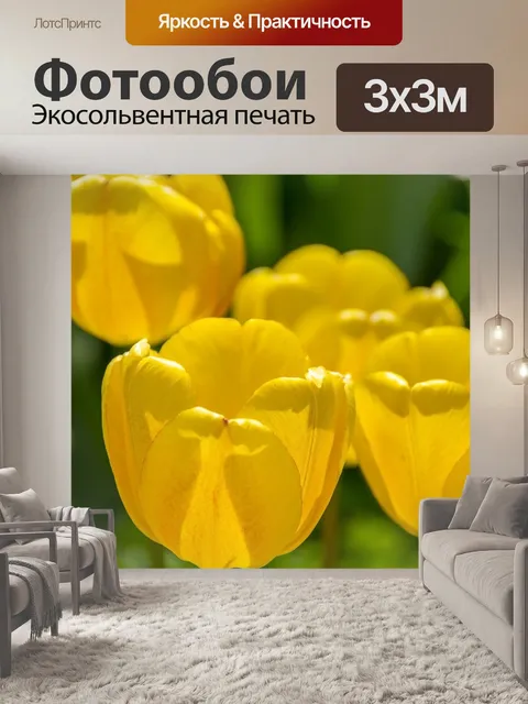 Фотообои Желтые тюльпаны